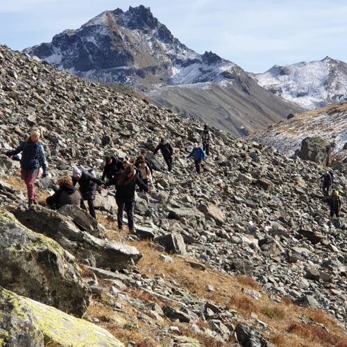 Steiniger Weg zum fast Gipfel