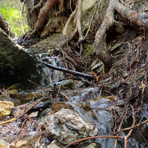 Waldbach