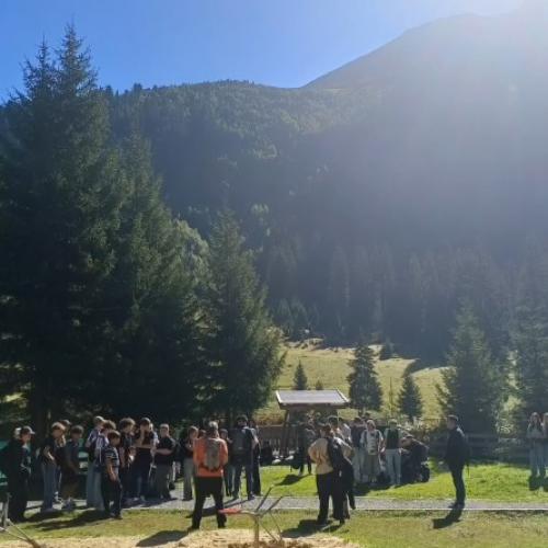 Alle Schüler hören gut zu