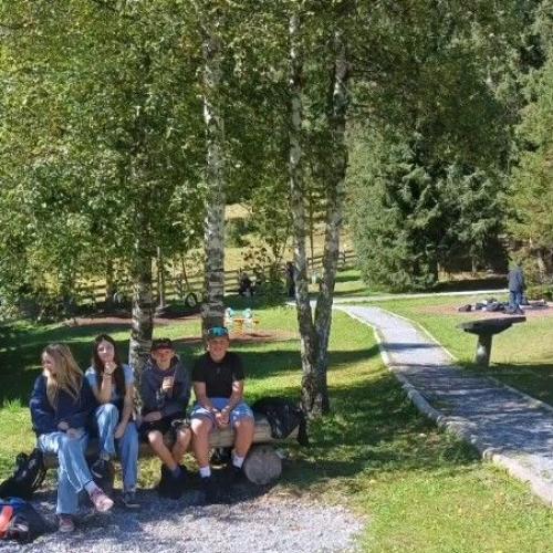 Schüler sitzen vor Baum