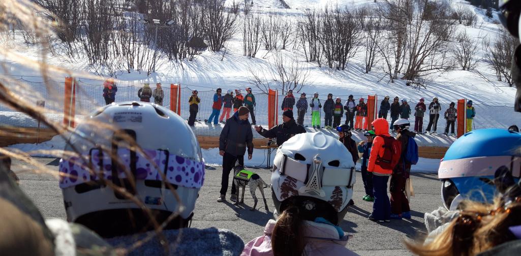 Drogenhund im Einsatz 2